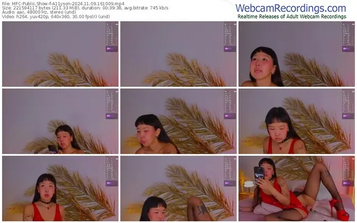 2024/11/09/mfc-a11yson-16-10-09