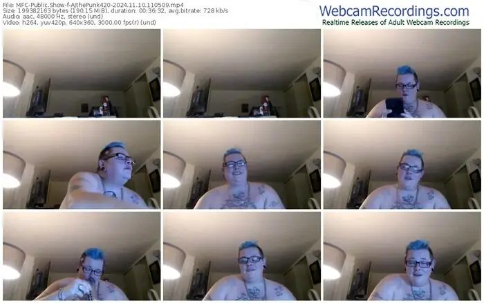 2024/11/10/mfc-ajthepunk420-11-05-09