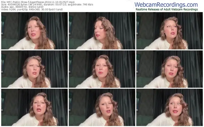 2024/11/10/mfc-agenttease-01-25-27