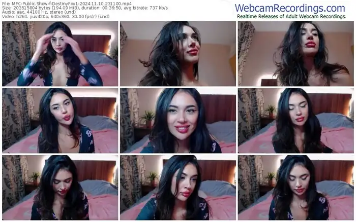 2024/11/10/mfc-destinyfox1-23-11-00