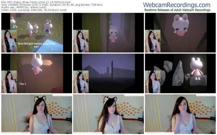 2024/11/10/mfc-kitty-05-44-22