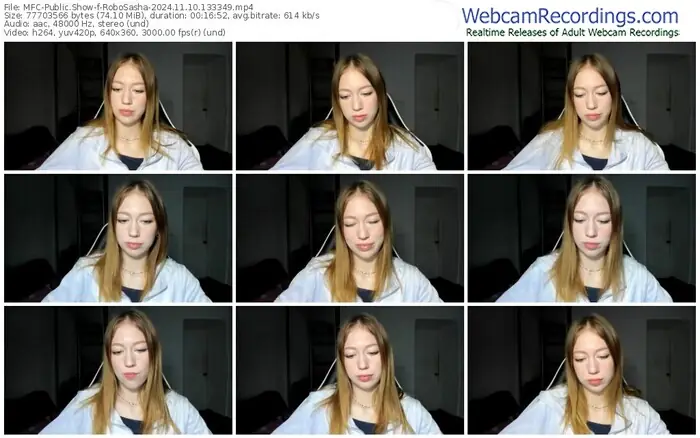 2024/11/10/mfc-robosasha-13-33-49