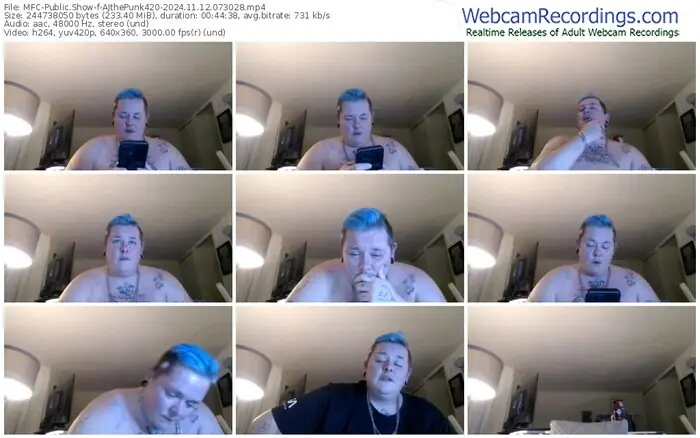 2024/11/12/mfc-ajthepunk420-07-30-28