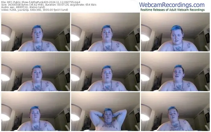2024/11/12/mfc-ajthepunk420-09-27-55