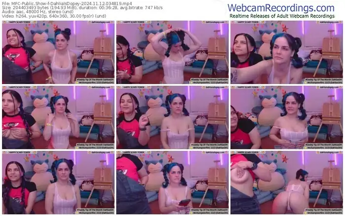 2024/11/12/mfc-dahliaisdopey-03-48-19