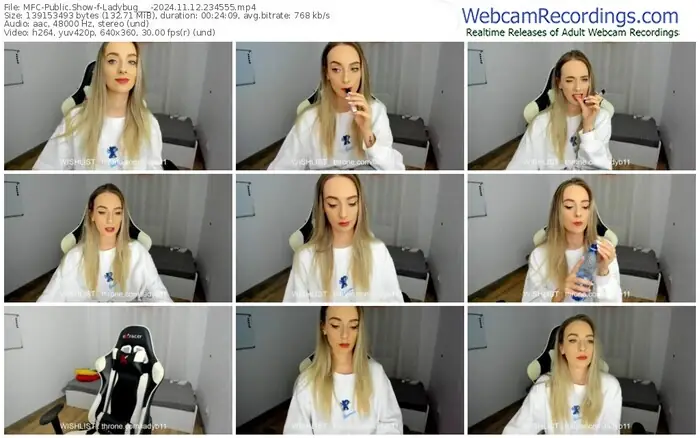 2024/11/12/mfc-ladybug___-23-45-55