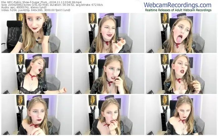 2024/11/12/mfc-sugar_plum_-03-41-38