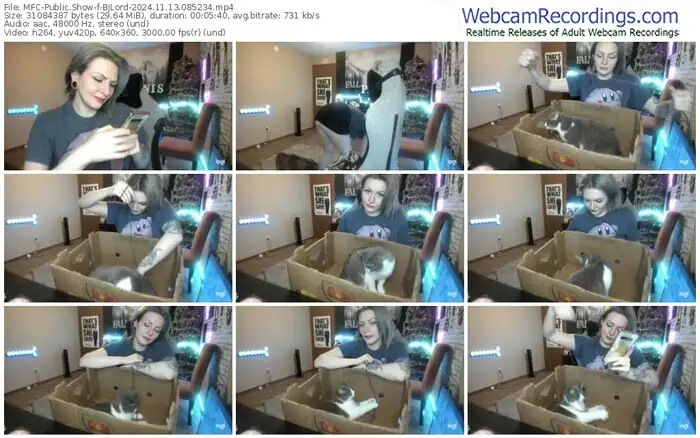 2024/11/13/mfc-bjlord-08-52-34