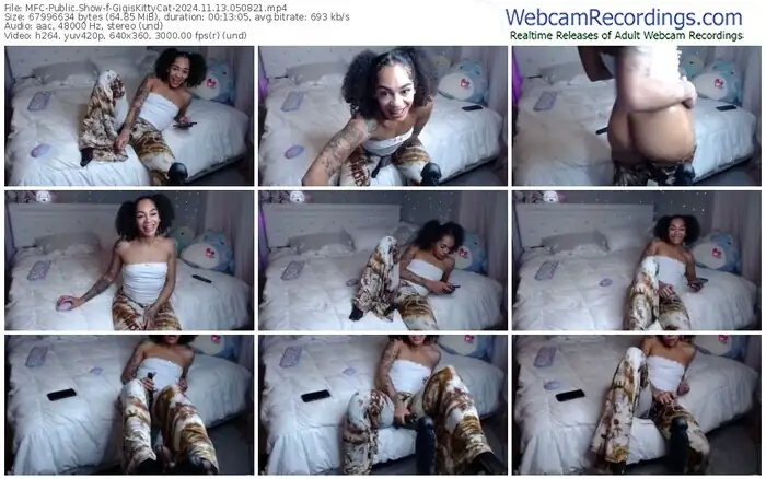 2024/11/13/mfc-gigiskittycat-05-08-21
