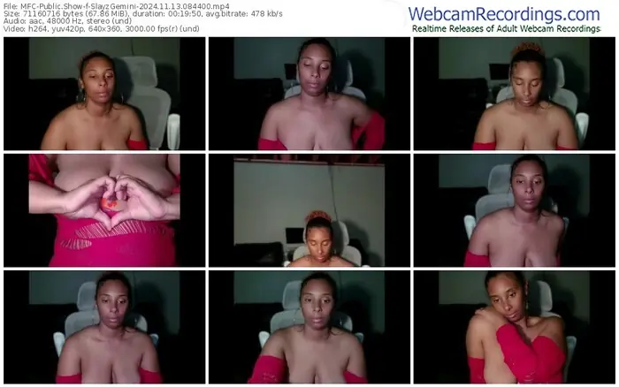 2024/11/13/mfc-slayzgemini-08-44-00