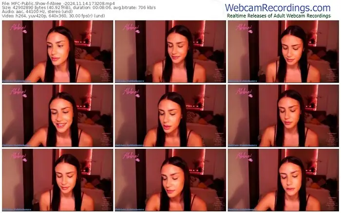 2024/11/14/mfc-abiee_-17-32-08
