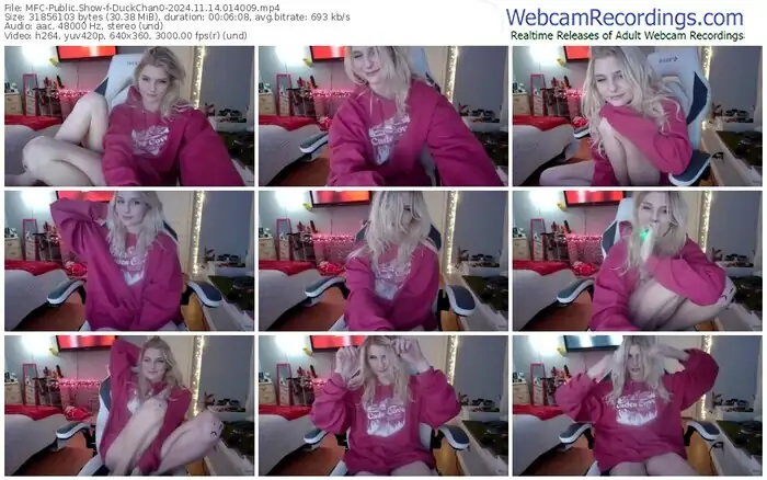 2024/11/14/mfc-duckchan0-01-40-09