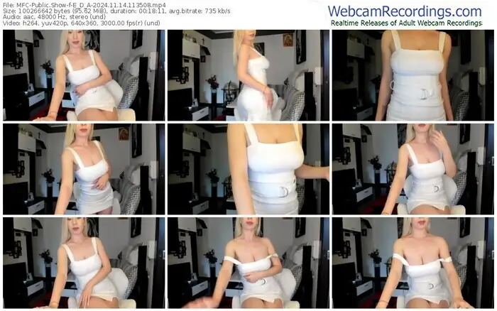 2024/11/14/mfc-e_d_a-11-35-08