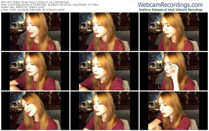 2024/11/14/mfc-sia_a-13-30-19