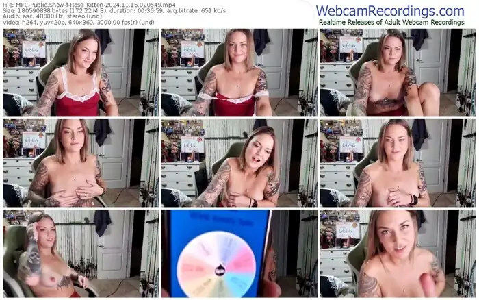 2024/11/15/mfc-rose_kitten-02-06-49