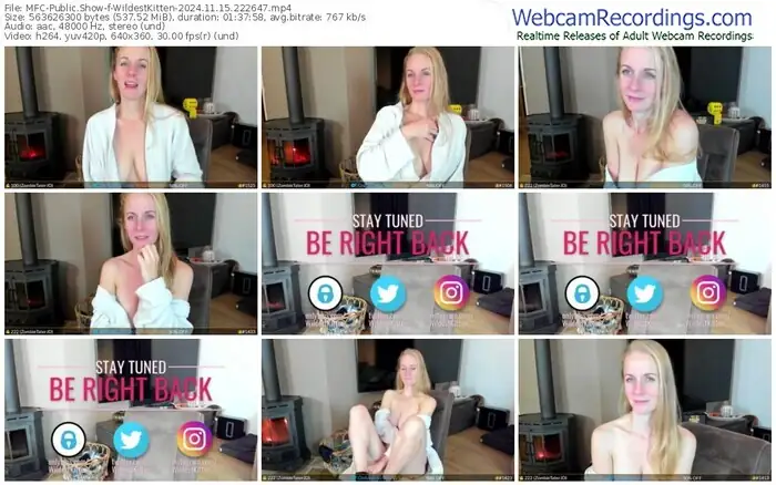 2024/11/15/mfc-wildestkitten-22-26-47