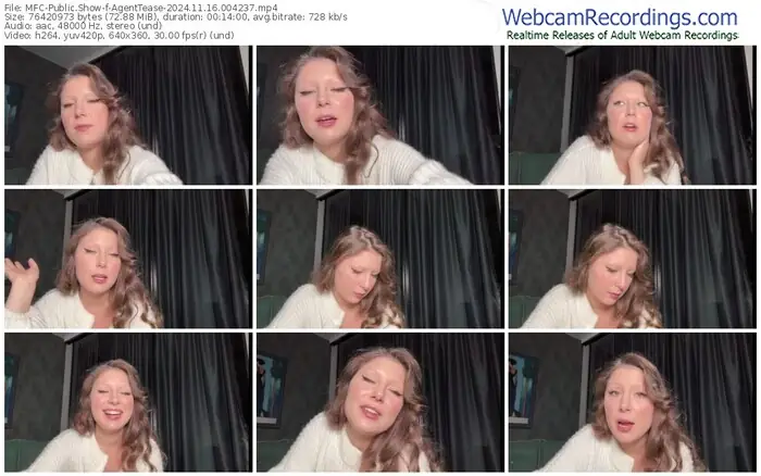 2024/11/16/mfc-agenttease-00-42-37
