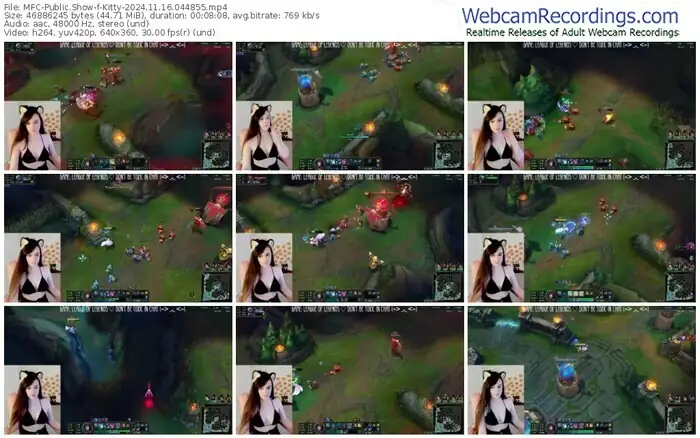 2024/11/16/mfc-kitty-04-48-55