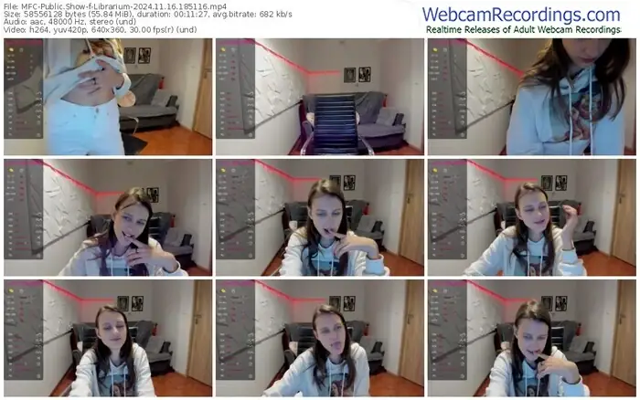 2024/11/16/mfc-librarium-18-51-16