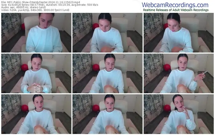 2024/11/16/mfc-nerdydexter-11-56-23