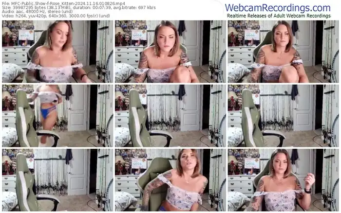 2024/11/16/mfc-rose_kitten-01-08-26