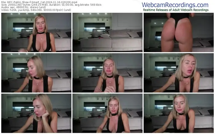 2024/11/16/mfc-smart_cat-02-02-00