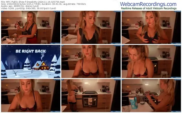 2024/11/16/mfc-snowkitty-02-57-56