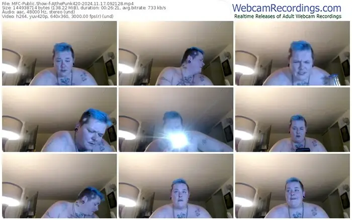 2024/11/17/mfc-ajthepunk420-09-21-28