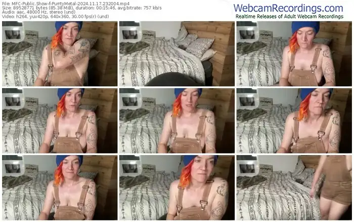 2024/11/17/mfc-purrtymetal-23-20-04