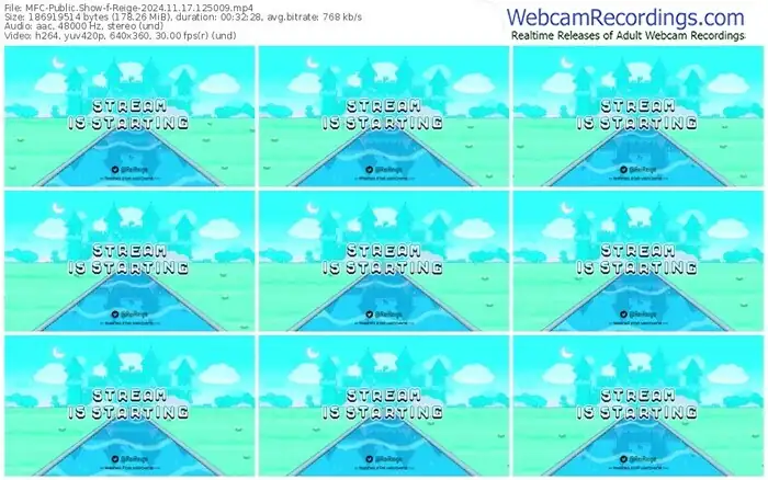 2024/11/17/mfc-reige-12-50-09