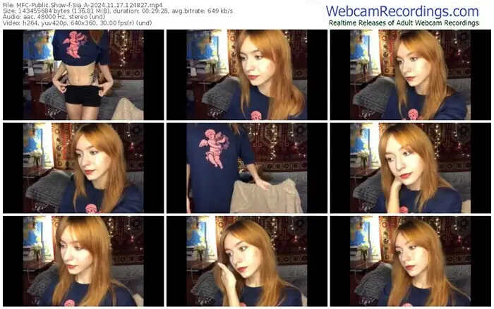 2024/11/17/mfc-sia_a-12-48-27