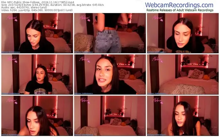 2024/11/18/mfc-abiee_-17-38-52