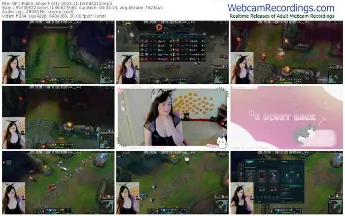 2024/11/18/mfc-kitty-04-42-12