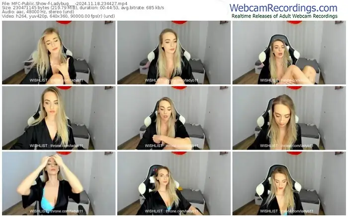 2024/11/18/mfc-ladybug___-23-44-27