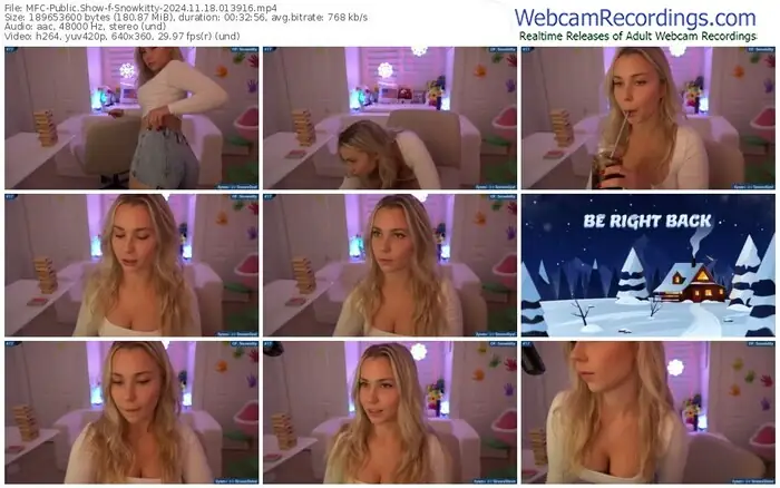 2024/11/18/mfc-snowkitty-01-39-16