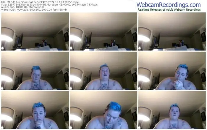 2024/11/19/mfc-ajthepunk420-12-02-56