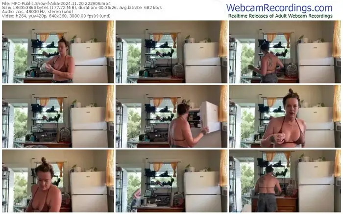 2024/11/20/mfc-ailia-22-29-09