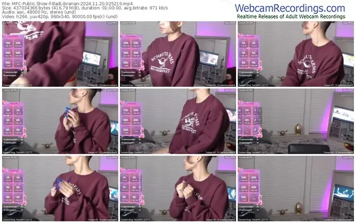 2024/11/20/mfc-badlibrarian-02-52-19