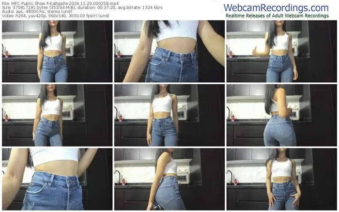 2024/11/20/mfc-kattgalle-00-02-58