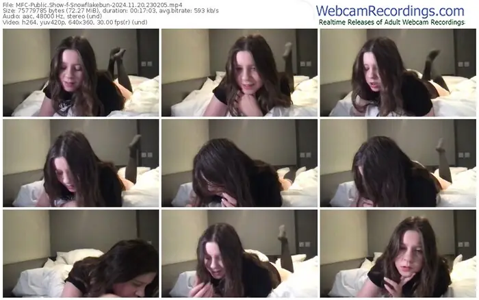 2024/11/20/mfc-snowflakebun-23-02-05