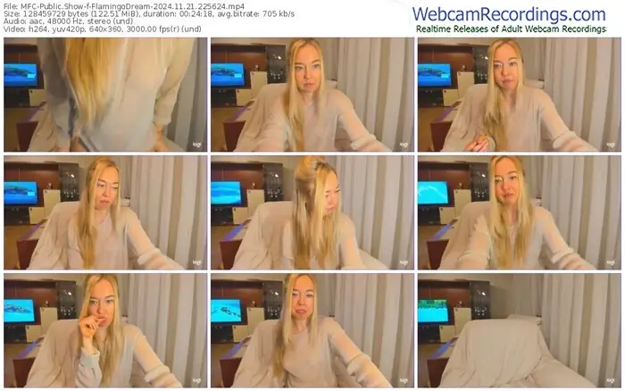 2024/11/21/mfc-flamingodream-22-56-24