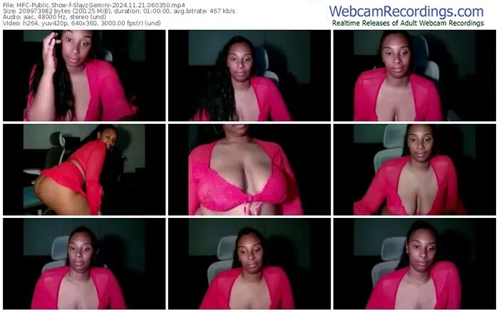 2024/11/21/mfc-slayzgemini-06-03-50