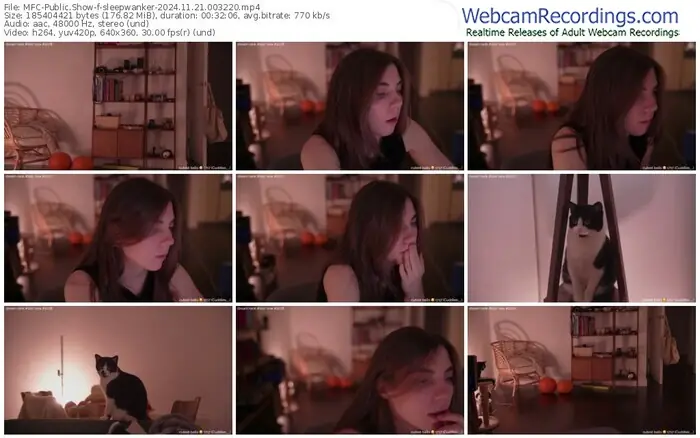 2024/11/21/mfc-sleepwanker-00-32-20