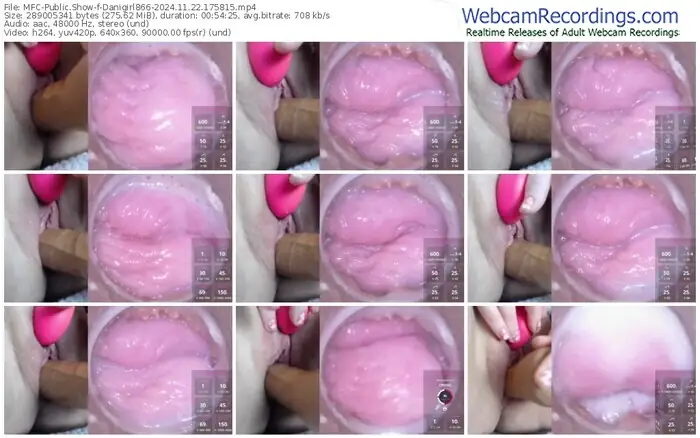 2024/11/22/mfc-danigirl866-17-58-15