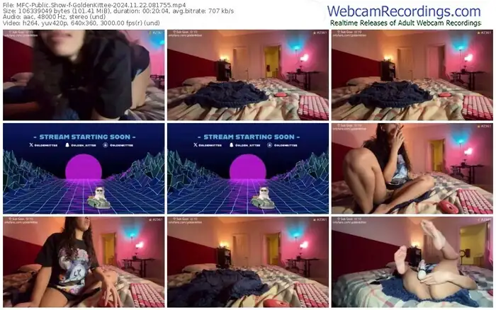 2024/11/22/mfc-goldenkittee-08-17-55