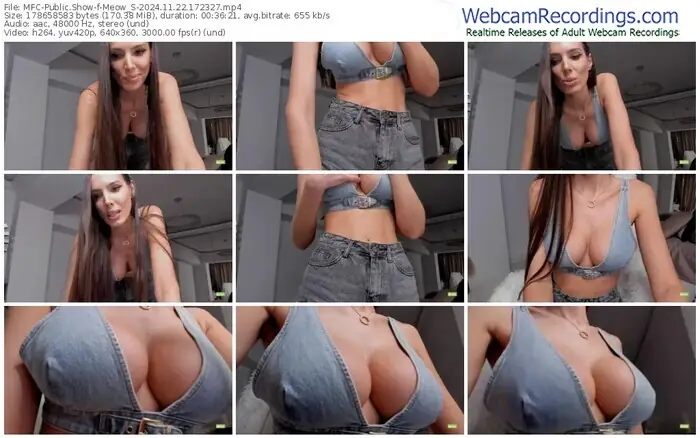 2024/11/22/mfc-meow_s-17-23-27