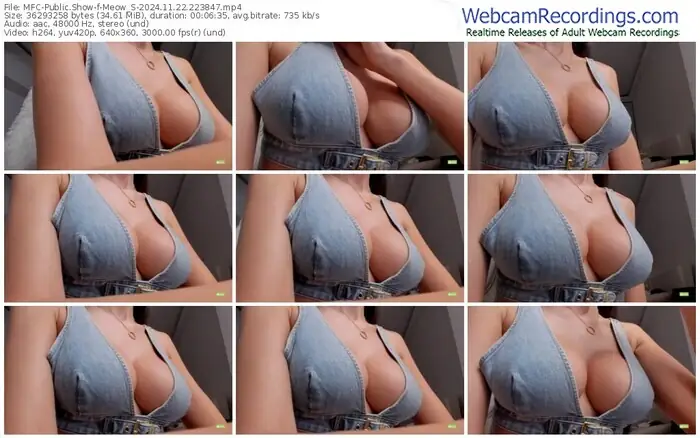 2024/11/22/mfc-meow_s-22-38-47