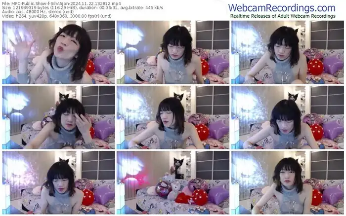 2024/11/22/mfc-silviajpn-13-28-12