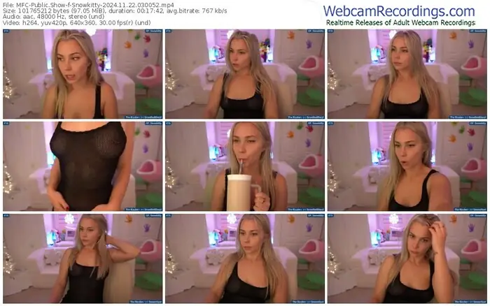 2024/11/22/mfc-snowkitty-03-00-52