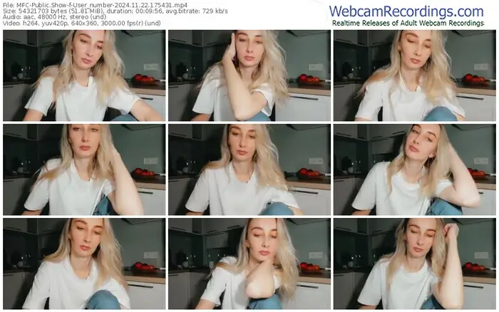 2024/11/22/mfc-user_number-17-54-31